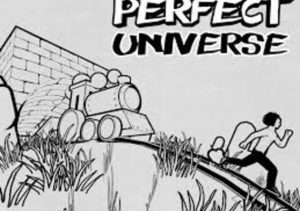 Perfect Universe