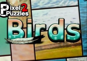 Pixel Puzzles 2 Birds