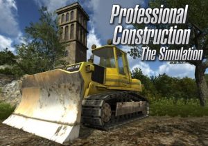 Professional Construction The Simulation
