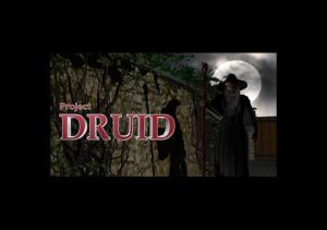 Project Druid 2D Labyrinth Explorer