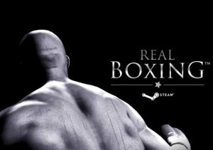 Real Boxing