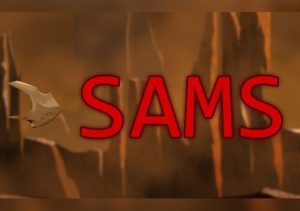 SAMS