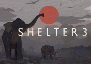 Shelter 3