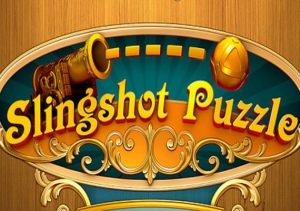 Slingshot Puzzle