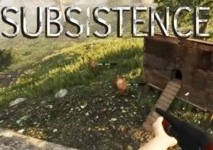 Subsistence