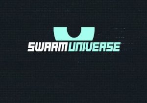 Swarm Universe