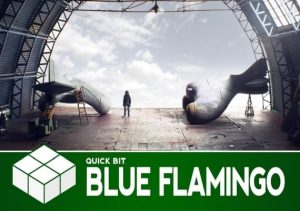 The Blue Flamingo