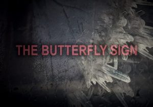 The Butterfly Sign Human Error