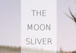 The Moon Silver