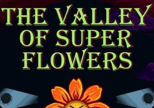 The Valley of Super Flowers