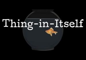 Thing-in-Itself