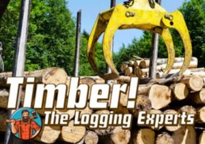 Timber The Logging Experts