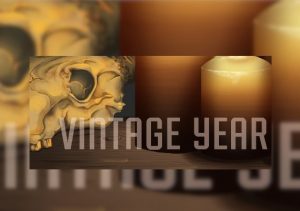 Vintage Year