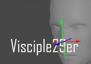 Visciple29er