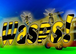 Wasps!