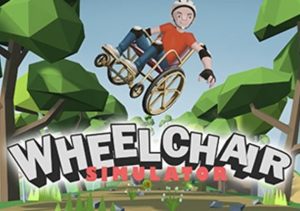 Wheelchair Simulator
