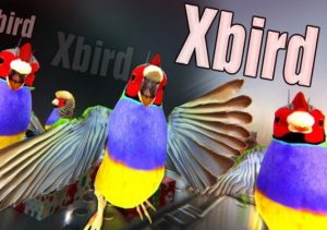 Xbird