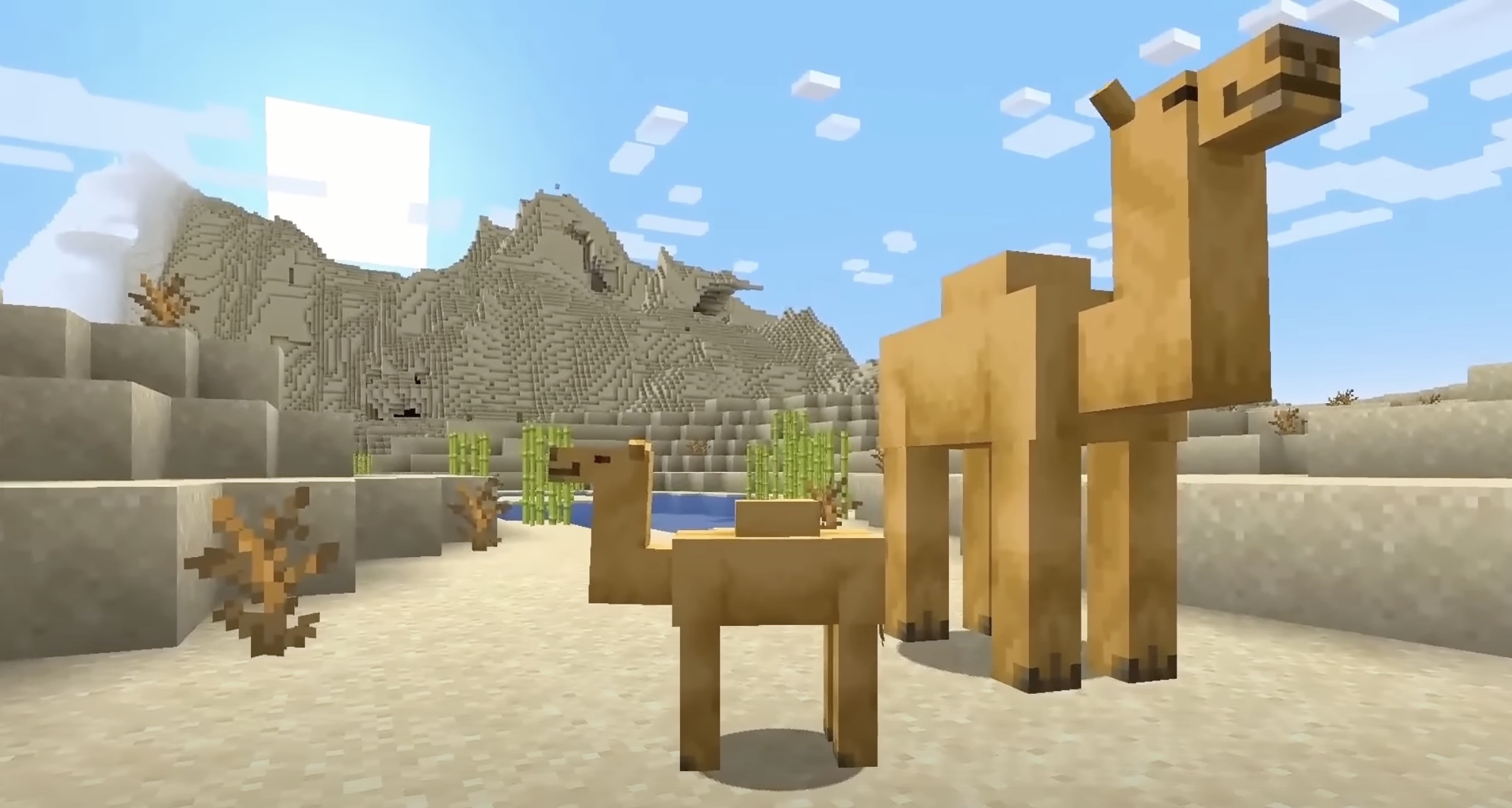 Minecraft 20.20. Верблюд майнкрафт 1.20. Майнкрафт 1.20 обновление верблюд. Майнкрафт 1.20 верблюд Нюхач. Minecraft снапшот 1.20.