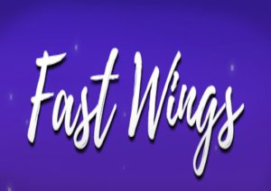 Fast Wings
