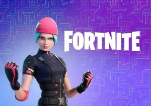 Fortnite Wildcat Bundle Switch
