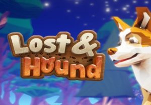Lost and Hound
