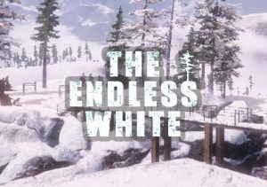 The Endless White