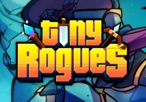 Tiny Rogues