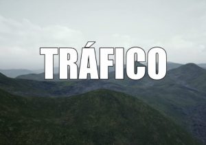 TRAFICO