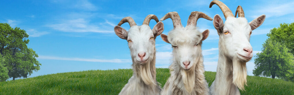 Goat Simulator 3 – offizielles Steam-Key-Art
