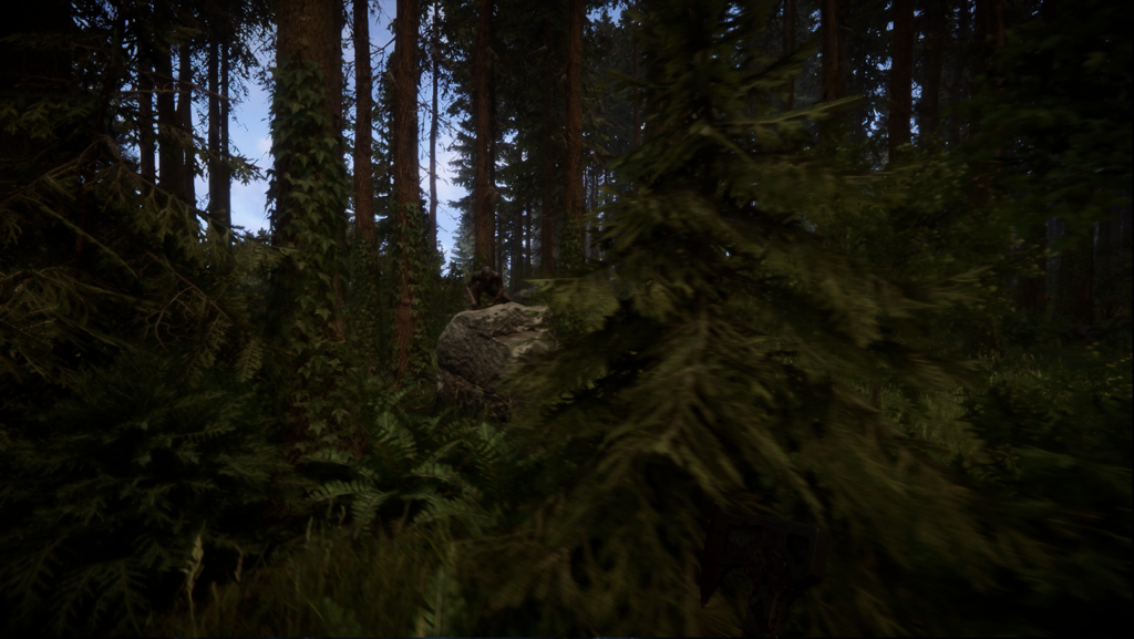 Dichter Wald in Sons of the Forest