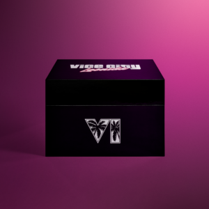 Grand Theft Auto VI – The Goodtime State: Vice City Collection, offizielle Sammlerbox