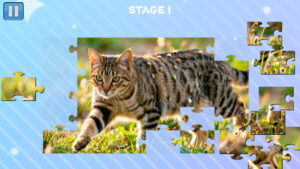 Funny Cats Puzzle – offizieller Nintendo-Screenshot vom Katzenpuzzle