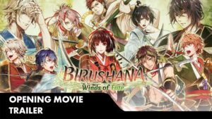 Birushana: Winds of Fate Switch