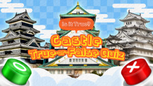 Is it True? Castle True-or-False Quiz Switch
