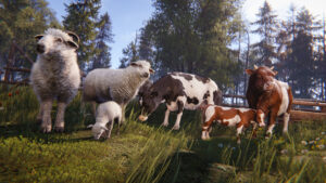 Rust Livestock Update – Kühe, Schafe und Jungtiere auf der Insel