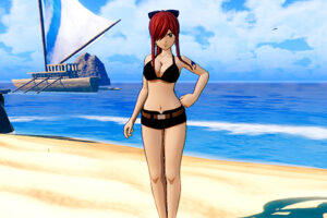 FAIRY TAIL: Erza's Costume "Special Swimsuit"