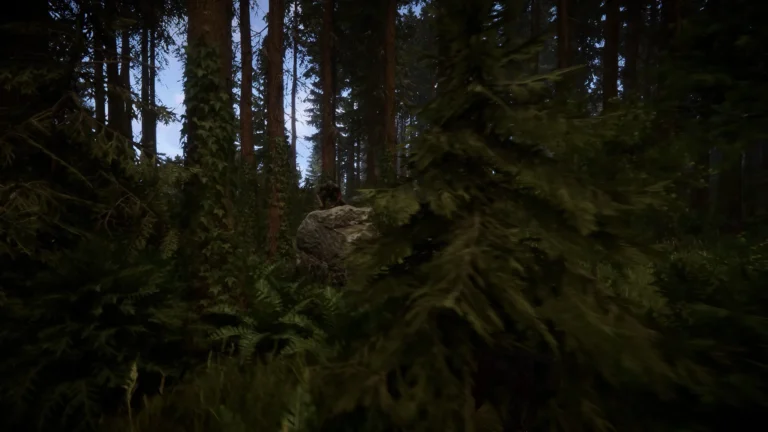 Sons of the Forest Screenshot 4