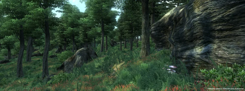 Eine Spielszene aus der offenen Welt von The Elder Scrolls IV: Oblivion.