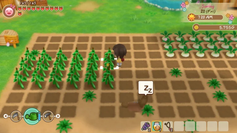 STORY OF SEASONS: Friends of Mineral Town Screenshot 3