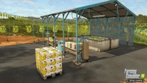 Waschanlage und Transportkisten für die Bananenverarbeitung.