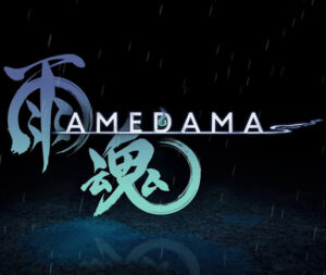 AMEDAMA Xbox Series