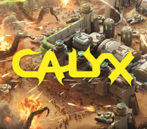 Calyx