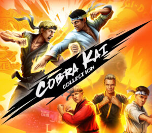 Cobra Kai Collection