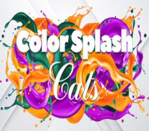 Color Splash Cats