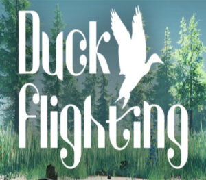 Duck Flight Simulator 2021