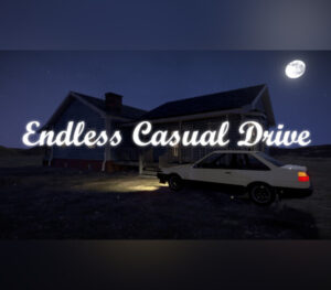 Endless Casual Drive