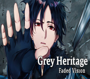 Grey Heritage Faded Vision