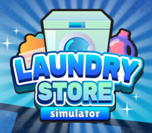 Laundry Store Simulator