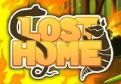 Lost Home