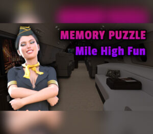 Memory Puzzle Mile High Fun